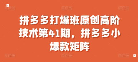 拼多多打爆班原创高阶技术第41期，拼多多小爆款矩阵-宝藏屋创业网