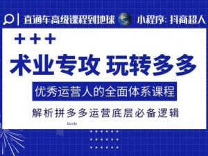 术业专攻玩转多多,优秀运营人的全面体系课程,解析拼多多运营底层必备逻辑-宝藏屋创业网