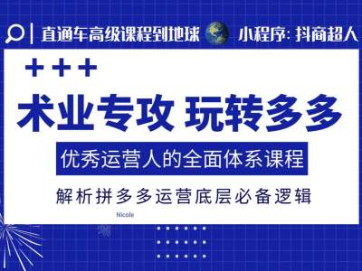 术业专攻玩转多多,优秀运营人的全面体系课程,解析拼多多运营底层必备逻辑-宝藏屋创业网