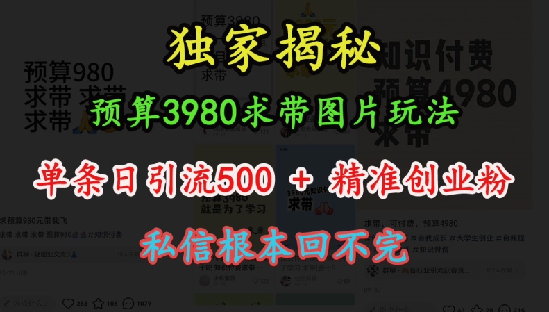 预算3980求带 图片玩法，单条日引流500+精准创业粉，私信根本回不完-宝藏屋创业网