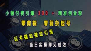 小额付费引爆 300 + 精准创业粉,零剪辑、零复杂起号,话术撬动被动引流,当日实操即见成效-宝藏屋创业网