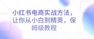 小红书电商实战方法,让你从小白到精英,保姆级教程-宝藏屋创业网
