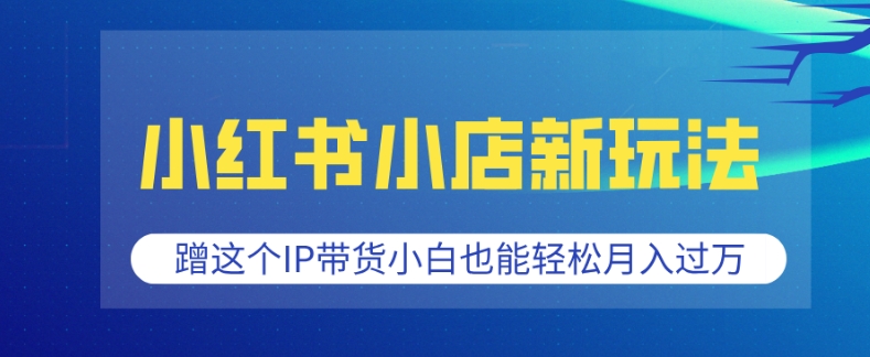 小红书小店新玩法,蹭这个IP带货,小白也能轻松月入过W【揭秘】-宝藏屋创业网