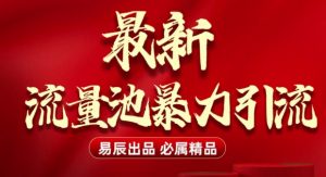 最新“流量池”无门槛暴力引流(全网首发)日引500+-宝藏屋创业网