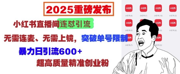 2025重磅发布:小红书直播间连怼引流,无需连麦、无需上镜,突破单号限制,暴力日引流600+-宝藏屋创业网