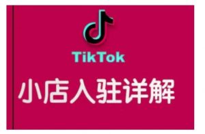 TikTok跨境小店运营全攻略,帮助你独立运营TK跨境小店的能力,实现销量增长-宝藏屋创业网