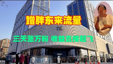 蹭胖东来流量，三天涨万粉，收益直接起飞-宝藏屋创业网
