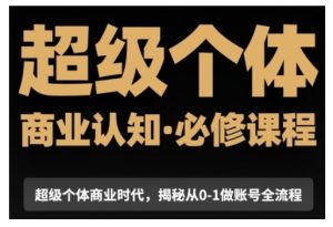 超级个体商业认知觉醒视频课,商业认知·必修课程揭秘从0-1账号全流程-宝藏屋创业网