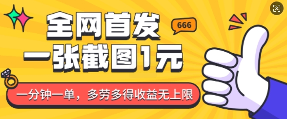 全网首发，一张截图1块钱，一分钟一单，多劳多得，收益无上限-宝藏屋创业网