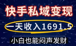 一天收入1691.5,快手私域变现,小白也能闷声发财-宝藏屋创业网
