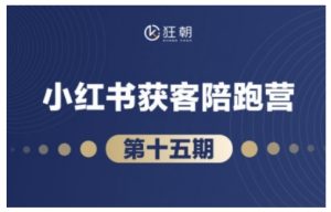 抖音小红书视频号短视频带货与直播变现(11-15期),打造爆款内容,实现高效变现-宝藏屋创业网