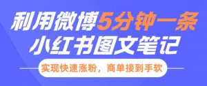 小红书利用微博5分钟一条图文笔记,实现快速涨粉,商单接到手软-宝藏屋创业网