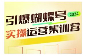 引爆蝴蝶号实操运营,助力你深度掌握蝴蝶号运营,实现高效实操,开启流量变现之路-宝藏屋创业网