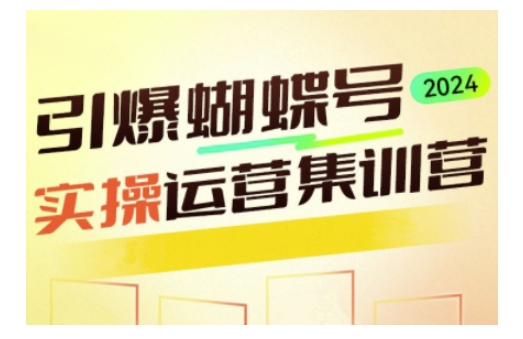 引爆蝴蝶号实操运营，助力你深度掌握蝴蝶号运营，实现高效实操，开启流量变现之路-宝藏屋创业网