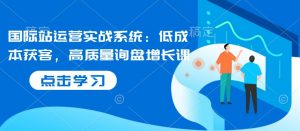 国际站运营实战系统:低成本获客,高质量询盘增长课-宝藏屋创业网