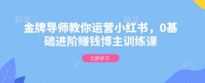 金牌导师教你运营小红书,0基础进阶赚钱博主训练课-宝藏屋创业网