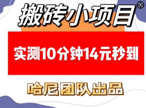 搬砖小项目，实测10分钟14元秒到，每天稳定几张(赠送必看稳定)-宝藏屋创业网