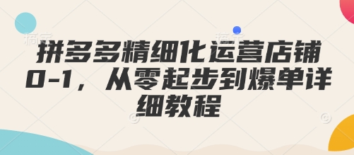 拼多多精细化运营店铺0-1，从零起步到爆单详细教程-宝藏屋创业网