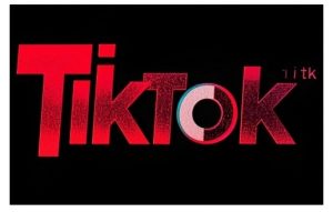 TikTok ads投流秘籍,涵盖tiktok整体投放思路,教你搭建测试计划-宝藏屋创业网