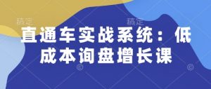 直通车实战系统:低成本询盘增长课,让个人通过技能实现升职加薪,让企业低成本获客,订单源源不断-宝藏屋创业网