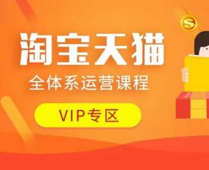 淘宝天猫全体系运营课程：店铺全系运营、动销玩法、付费推广、流量提升、擦边球玩法等等-宝藏屋创业网
