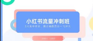 小红书流量冲刺班2025,最懂小红书的女人,快速教你2025年入局小红书-宝藏屋创业网