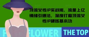 顶流女性IP实战班,流量上亿情绪引爆法,深度打磨顶流女性IP硬核基本功-宝藏屋创业网