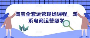 淘宝全套运营现场课程,淘系电商运营必学-宝藏屋创业网