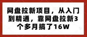 网盘拉新项目,从入门到精通,靠网盘拉新3个多月搞了16W-宝藏屋创业网