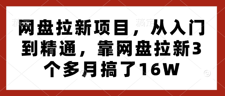 网盘拉新项目，从入门到精通，靠网盘拉新3个多月搞了16W-宝藏屋创业网