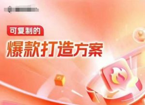 天猫电商爆款运营,可复制的爆款打造方案(线下内训课录音+字幕)-宝藏屋创业网