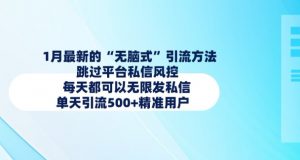 1月最新的无脑式引流方法,跳过平台私信风控,每天都可以无限发私信,单天引流500+精准用户-宝藏屋创业网