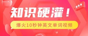 知识硬灌,1分钟教会你,利用AI制作爆火10秒钟记一个英文单词视频-宝藏屋创业网