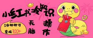 小红书冷知识账号,无脑复制粘贴,5分钟即可变现3张-宝藏屋创业网