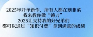 2025年开年新作,所有人都在割韭菜,我来教你做“镰刀” 2025让支持我的好兄弟们都可以通过“知识付费”拿到满意的成绩【揭秘】-宝藏屋创业网