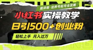 2月小红书最新日引500+创业粉实操教学【超详细】小白轻松上手,月入1W+,附小红书养号起号SOP-宝藏屋创业网