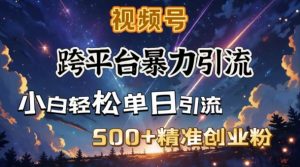 跨平台暴力引流,私域完美闭环,日引500+精准创业粉-宝藏屋创业网