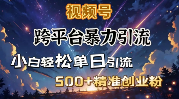 跨平台暴力引流，私域完美闭环，日引500+精准创业粉-宝藏屋创业网