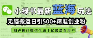 小绿书无脑搬运引流，全自动日引500精准创业粉，微信生态内又一个闷声发财的机会-宝藏屋创业网