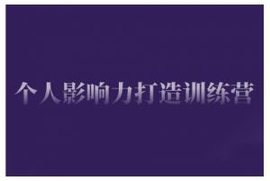 个人影响力打造训练营,掌握公域引流、私域运营、产品定位等核心技能,实现从0到1的个人IP蜕变-宝藏屋创业网