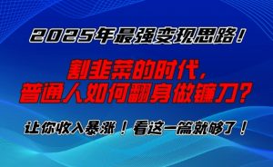 2025年最强变现思路,割韭菜的时代, 普通人如何翻身做镰刀?【揭秘】-宝藏屋创业网