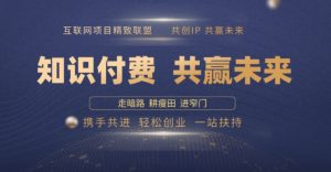 别人苦寻无果,为何他们靠知识付费卖项目 2025 年轻松年入100个?【揭秘】-宝藏屋创业网