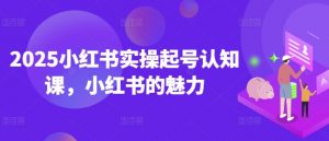 2025小红书实操起号认知课,小红书的魅力-宝藏屋创业网