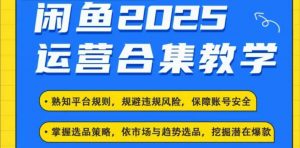 2025闲鱼电商运营全集,2025最新咸鱼玩法-宝藏屋创业网