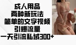 成人用品两种新玩法,简单的文字视频引爆流量,一天引流私域300+-宝藏屋创业网