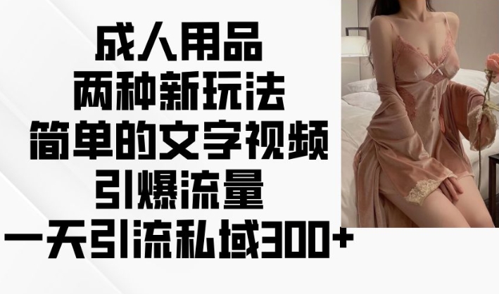 成人用品两种新玩法，简单的文字视频引爆流量，一天引流私域300+-宝藏屋创业网