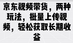 京东视频带货,两种玩法,批量上传视频,轻松获取长期收益-宝藏屋创业网