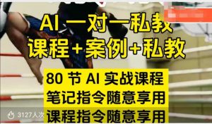 AI指令实战课,课程+案例,80节AI实战课程,笔记指令随意享用,课程指令随意享用-宝藏屋创业网