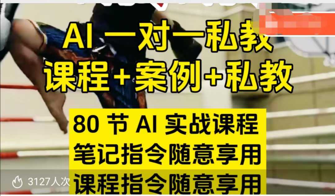 AI指令实战课，课程+案例，80节AI实战课程，笔记指令随意享用，课程指令随意享用-宝藏屋创业网