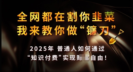 知识付费如何做到月入过W+，2025我来教你做“镰刀”【揭秘】-宝藏屋创业网